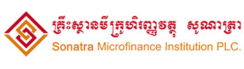 Sonatra Microfinance Institution Plc